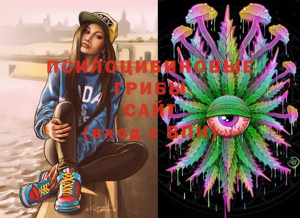PSILOCYBIN Алексеевка