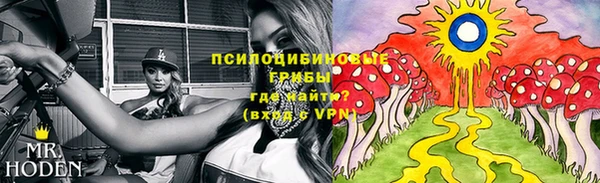 PSILOCYBIN Алексеевка