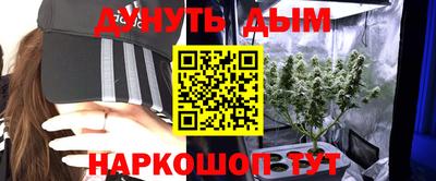 молекула духа Пугачёв