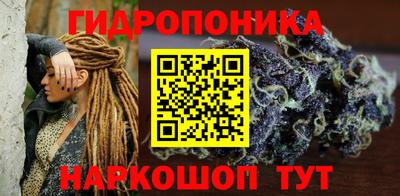 молекула духа Пугачёв