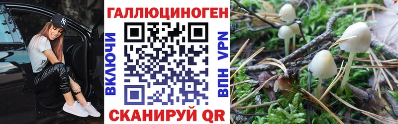 где найти наркотики  блэк спрут как войти  Галлюциногенные грибы мицелий  Топки 
