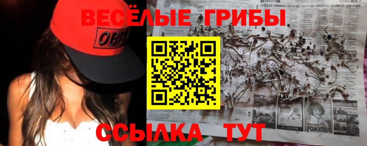 Псилоцибиновые грибы Cubensis Топки