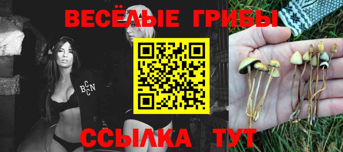 Топки  Псилоцибиновые грибы прущие грибы  Галлюциногенные грибы прущие грибы  Вход с VPN 