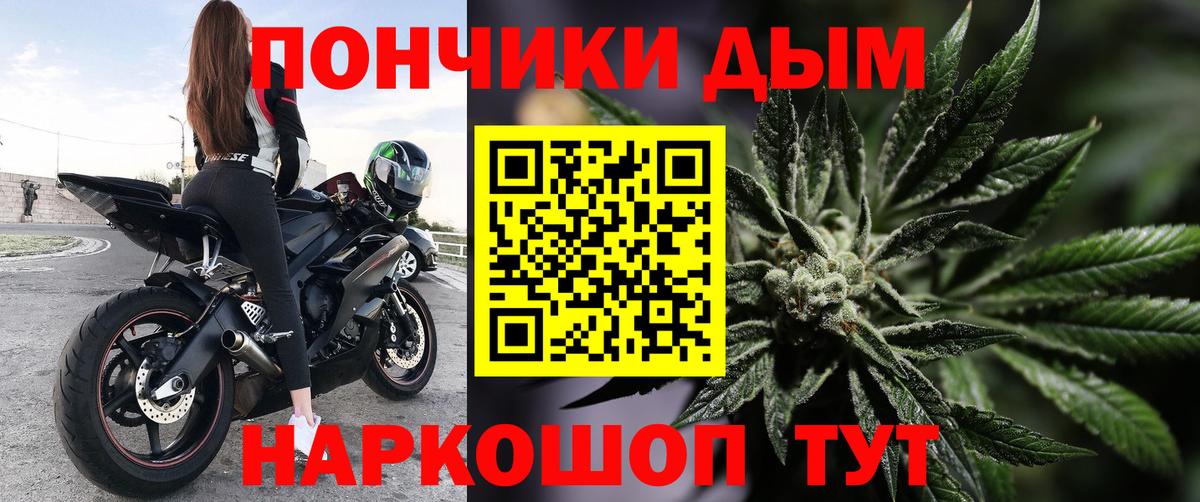 Бошки марихуана сатива Топки